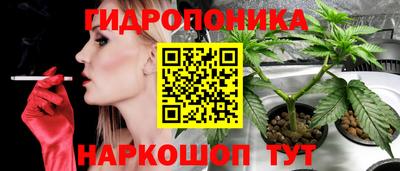 скорость Шелехов
