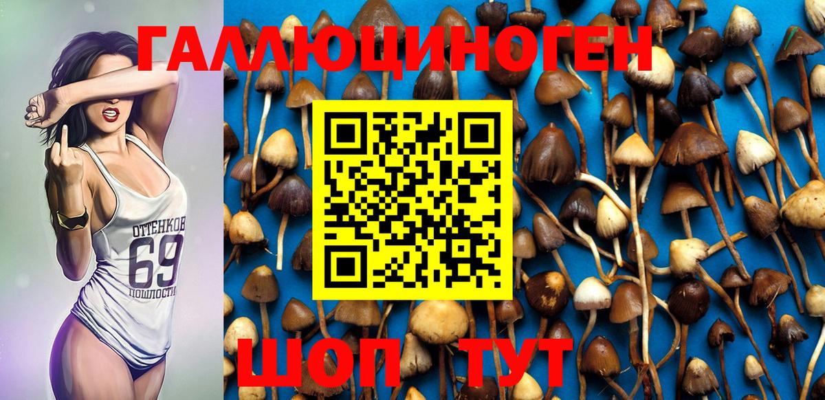 Псилоцибиновые грибы Magic Shrooms  Вход с VPN  Бугуруслан  Галлюциногенные грибы Cubensis 