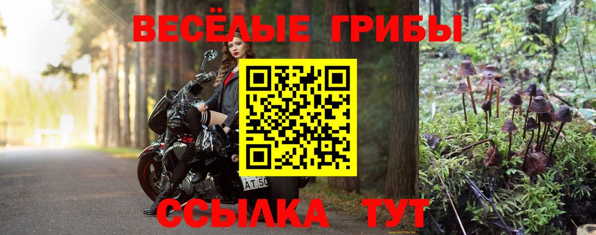 Галлюциногенные грибы мицелий Бугуруслан